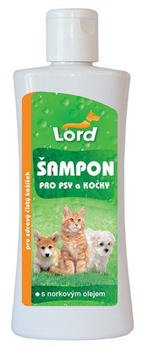 LORD AMPON PRO PSY A KOKY 250ml NORK.O