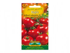 RAJE GALLANT F1 tyck 2734dd