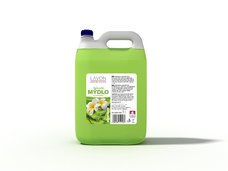 LAVON TEK.MYDLO 5L ALOE VERA ZELENE 1004